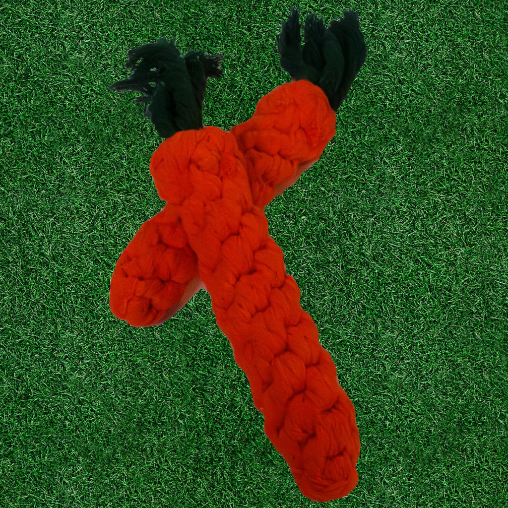 Katoenen bijtwortel SnuffelFun