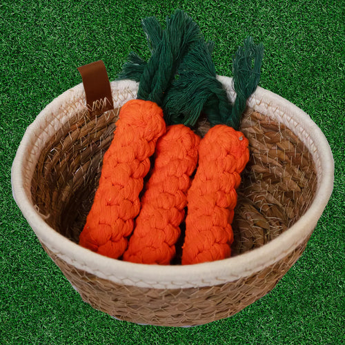 Katoenen bijtwortel SnuffelFun