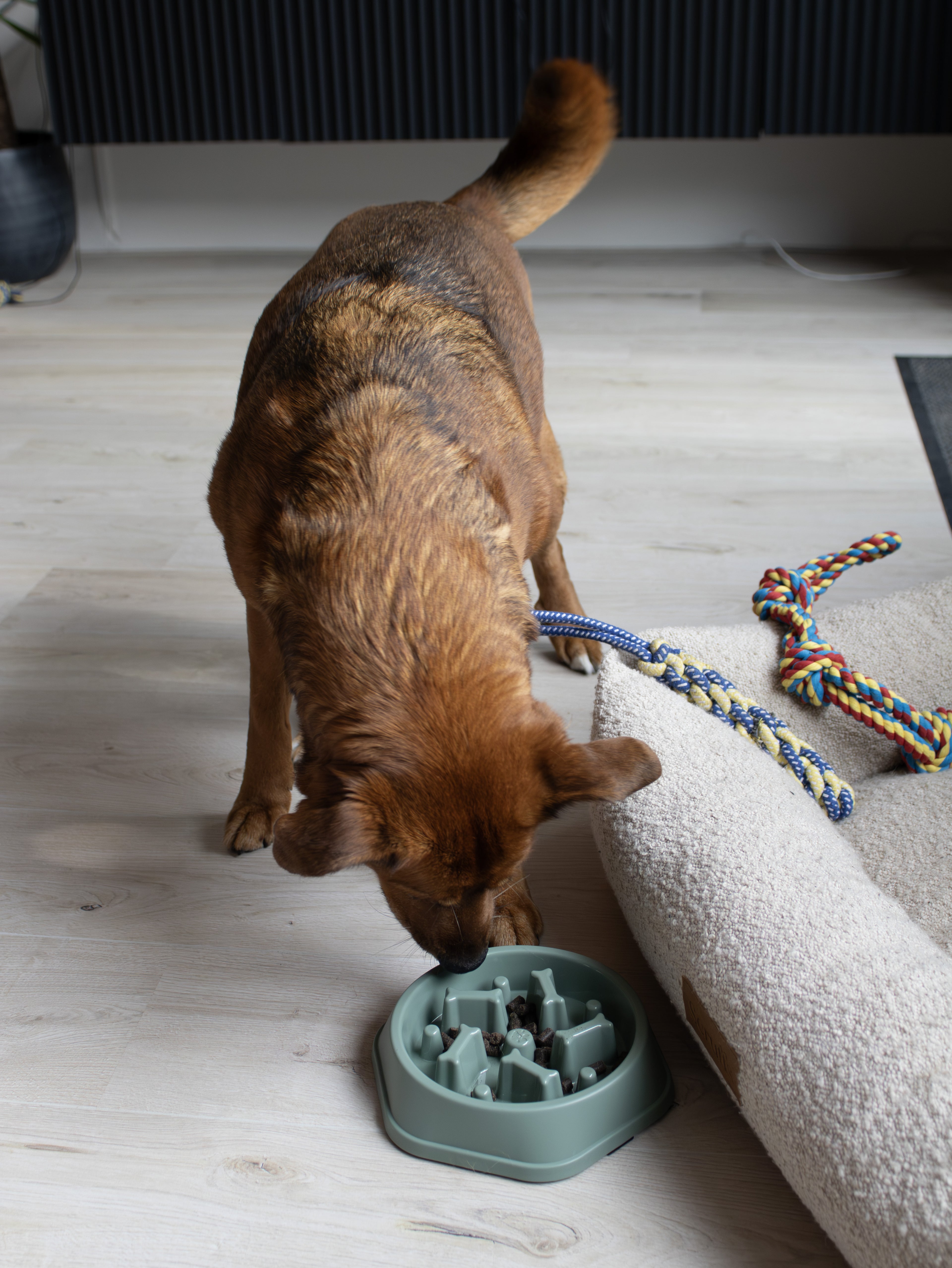 Slowfeeder voerbak hond