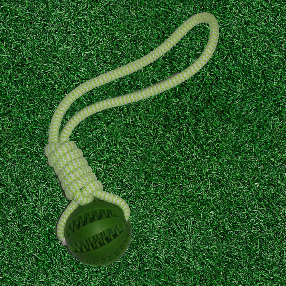 kogelstoot SnuffelFun, snuffelfun.nl